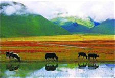 Shangri La Yunnan