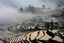 Yuanyang Yunnan
