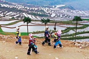 Hani Terraces Yuanyang