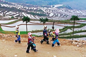 Hani Terraces Yuanyang 