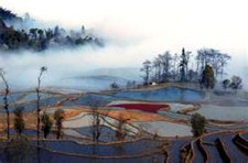 Yuanyang terraces