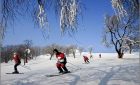 Ski in Harbin