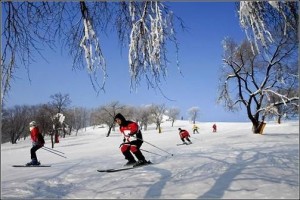 Ski in Harbin