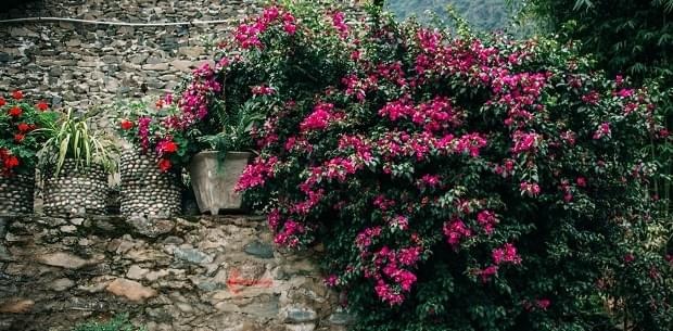 yunnan trekking