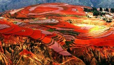 Dongchuan Red Land