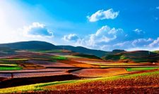 Dongchuan Red Land