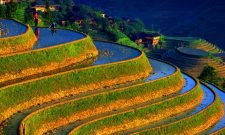 longji rice terraces