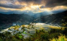 yuanyang rice field