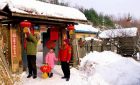 Chinese New Year Decorations