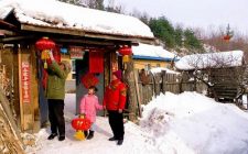  Chinese New Year Decorations