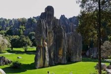 Shilin Stone Forest in Kunming